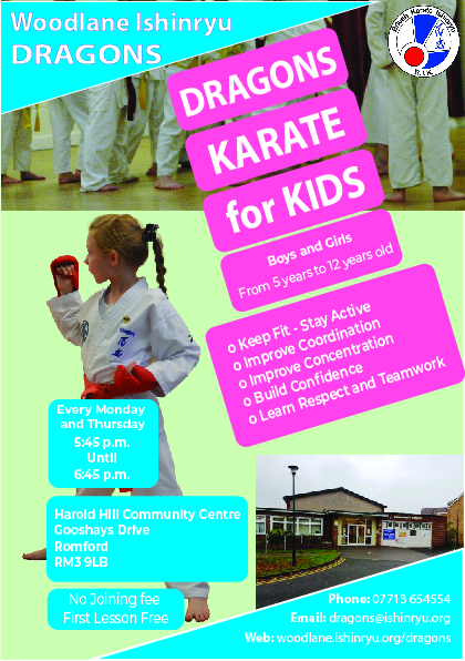 Woodlane Dragons Flyer